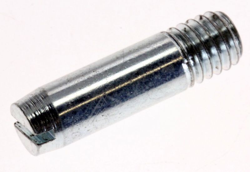 C00172138 482000030062 UNTERER SCHARNIERSTIFT