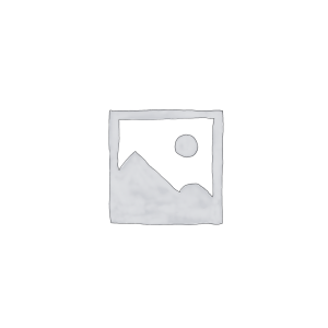 AS13200104 GETRIEBE (CHIAPHUA 230V)