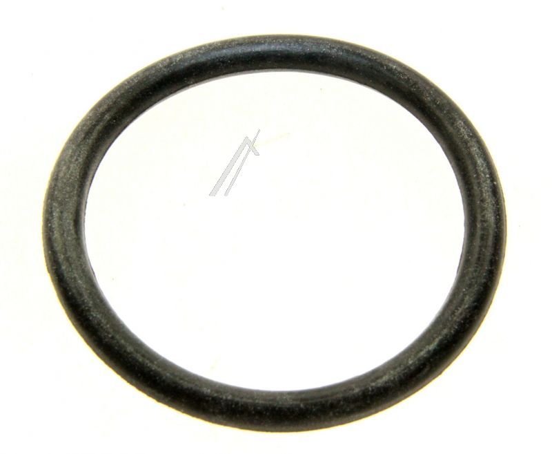 148509 DICHTRING